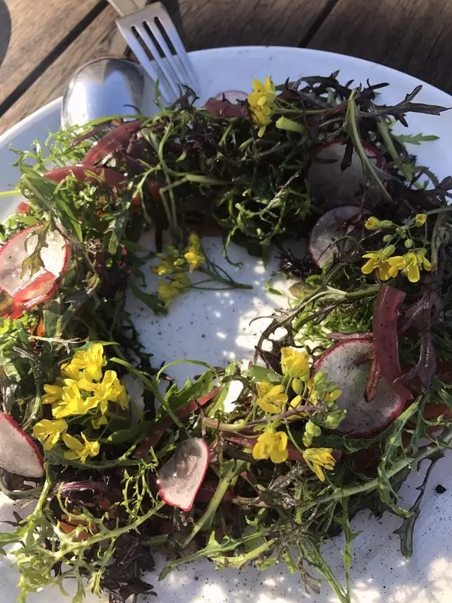 Stem Kitchen & Garden
