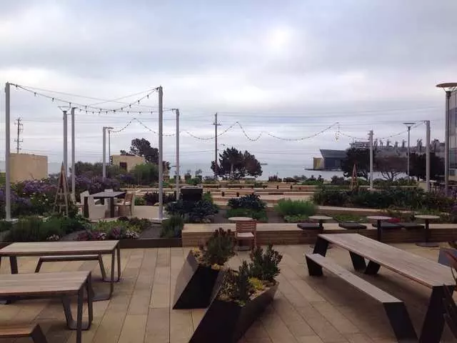 Stem Kitchen & Garden