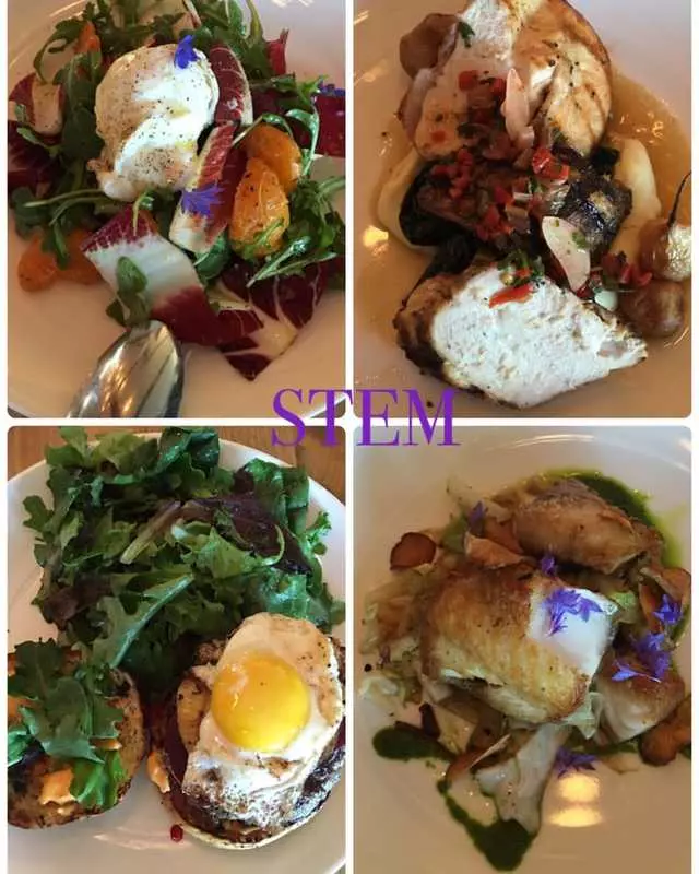 Stem Kitchen & Garden