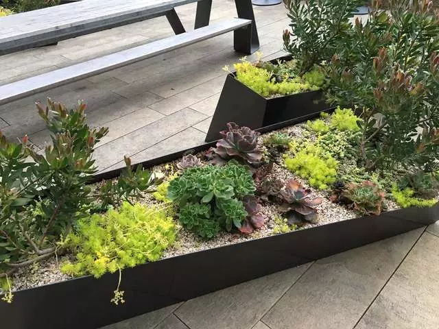 Stem Kitchen & Garden