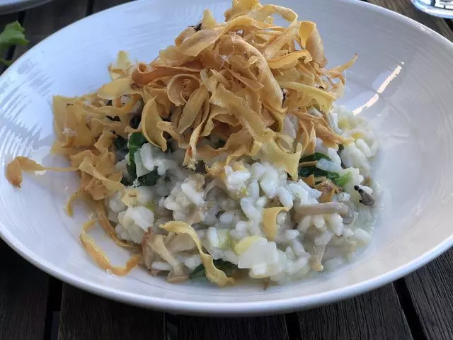 Stem Kitchen & Garden