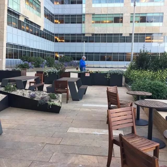 Stem Kitchen & Garden