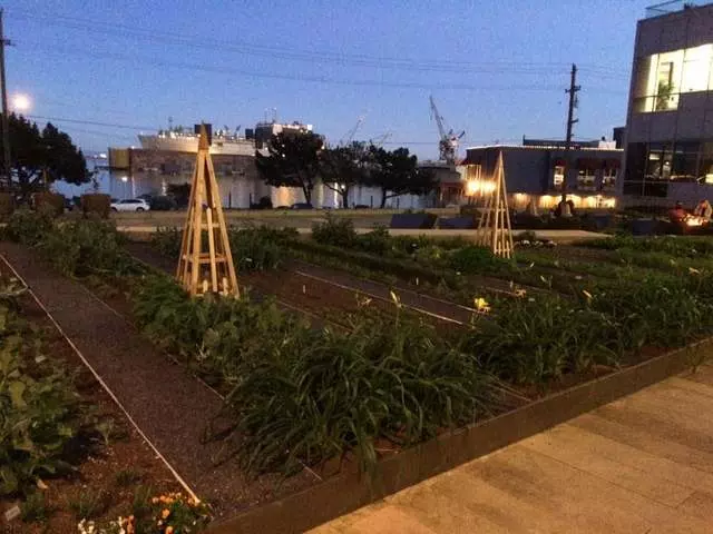 Stem Kitchen & Garden