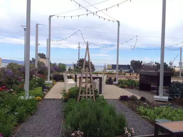 Stem Kitchen & Garden