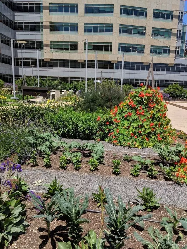 Stem Kitchen & Garden