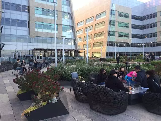 Stem Kitchen & Garden