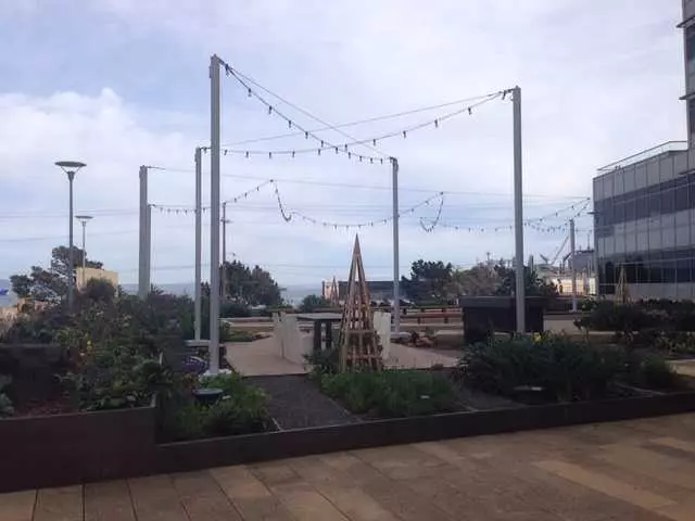 Stem Kitchen & Garden