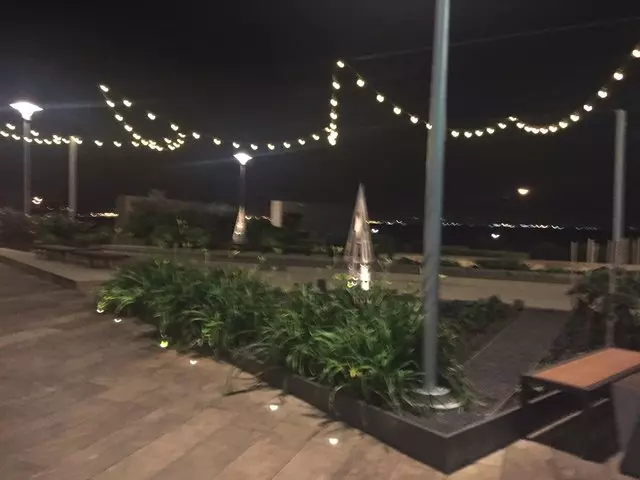 Stem Kitchen & Garden