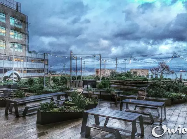 Stem Kitchen & Garden