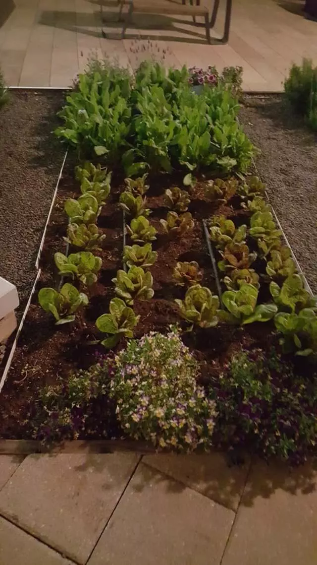 Stem Kitchen & Garden
