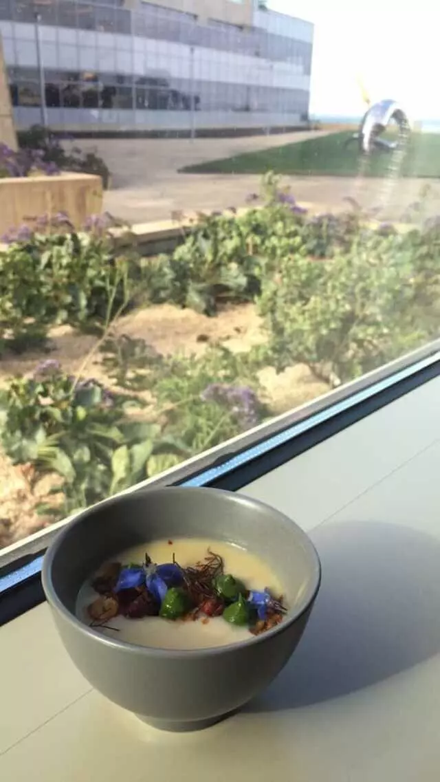 Stem Kitchen & Garden