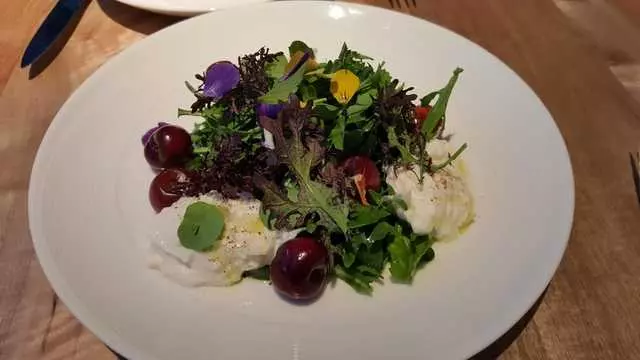 Stem Kitchen & Garden