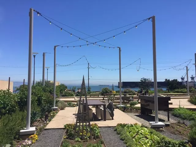 Stem Kitchen & Garden