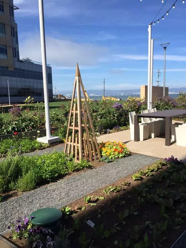 Stem Kitchen & Garden