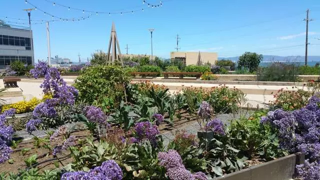 Stem Kitchen & Garden