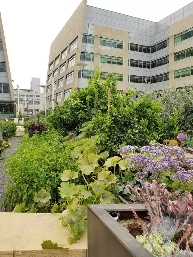 Stem Kitchen & Garden