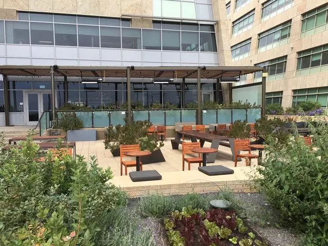 Stem Kitchen & Garden