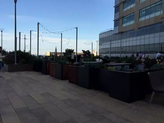 Stem Kitchen & Garden