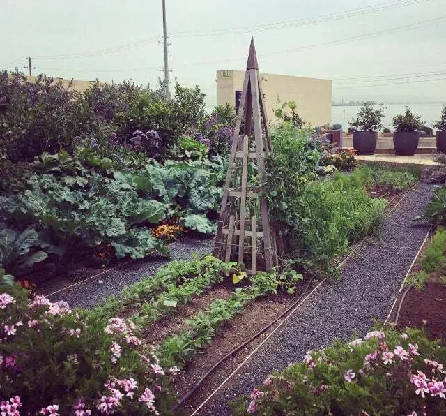 Stem Kitchen & Garden