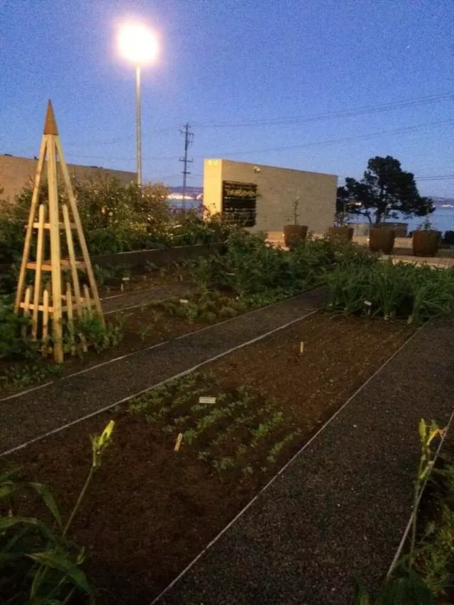 Stem Kitchen & Garden