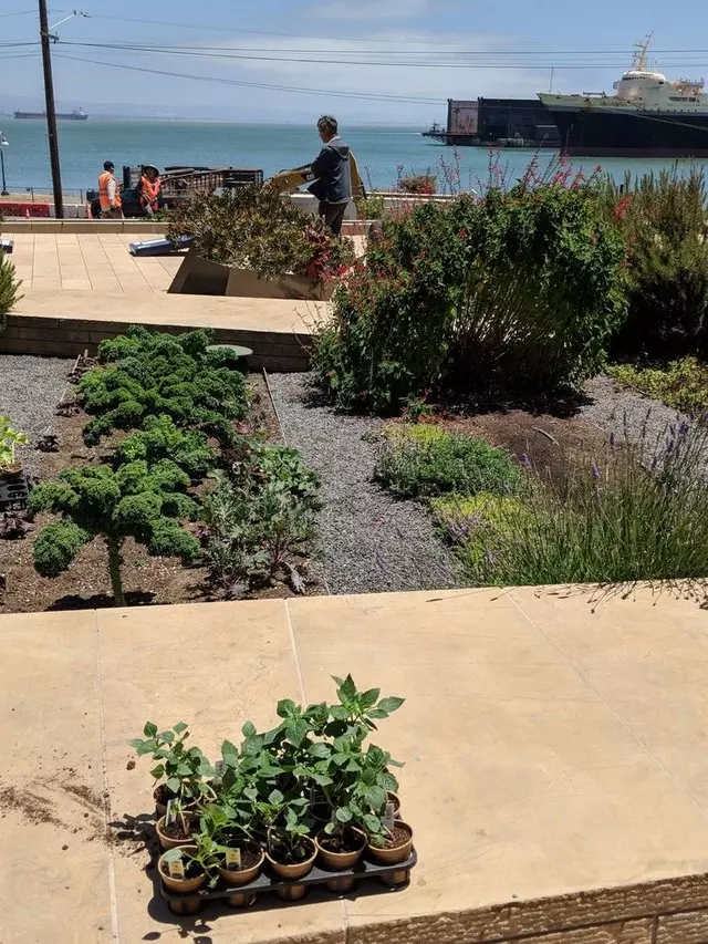 Stem Kitchen & Garden