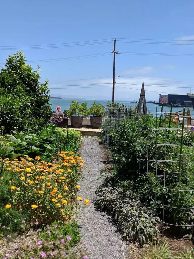 Stem Kitchen & Garden