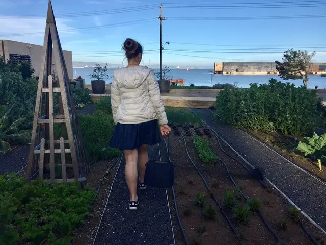 Stem Kitchen & Garden