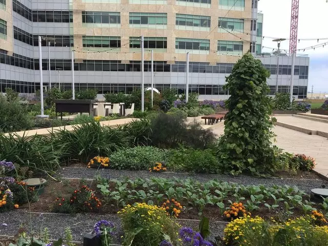 Stem Kitchen & Garden