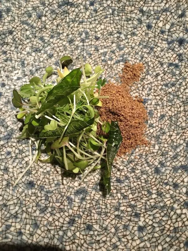 1601 Bar & Kitchen