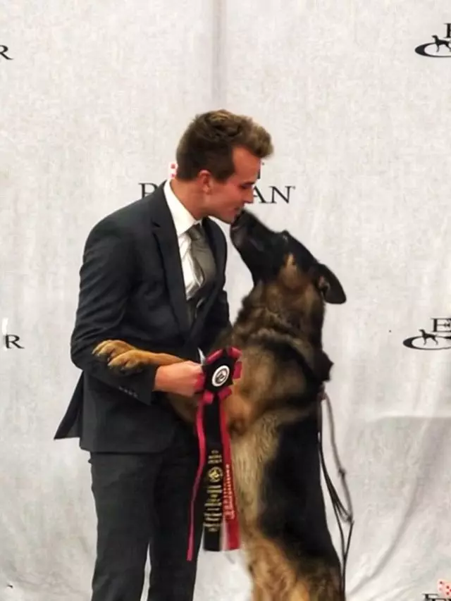 District Canine