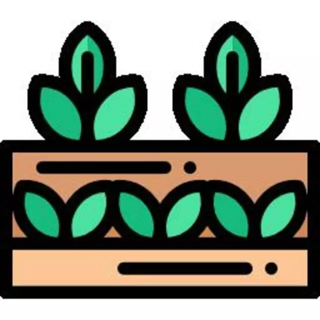 SF Sweet Potato