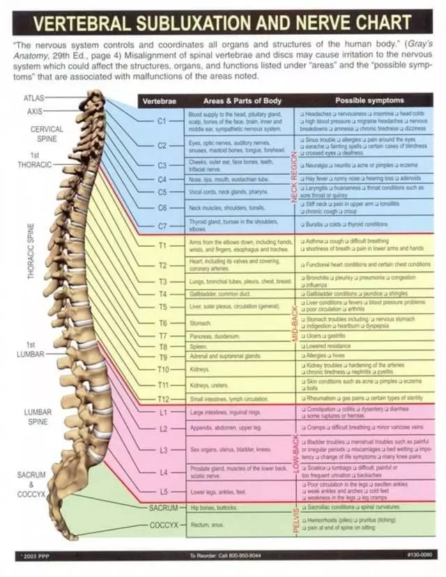 Axis Chiropractic, integrated care