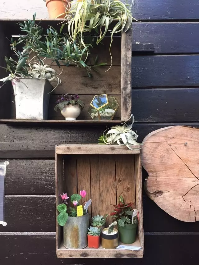 Stable Cafe