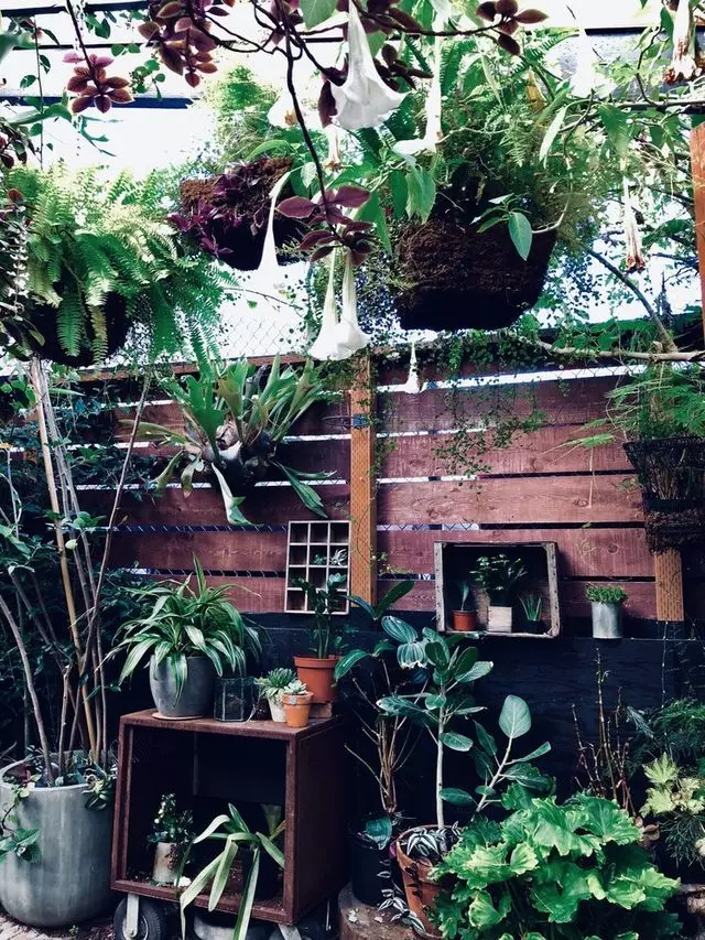 Stable Cafe