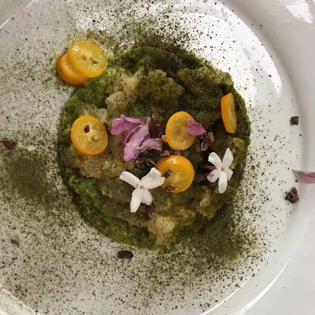 Latitude 15 Pop-Up