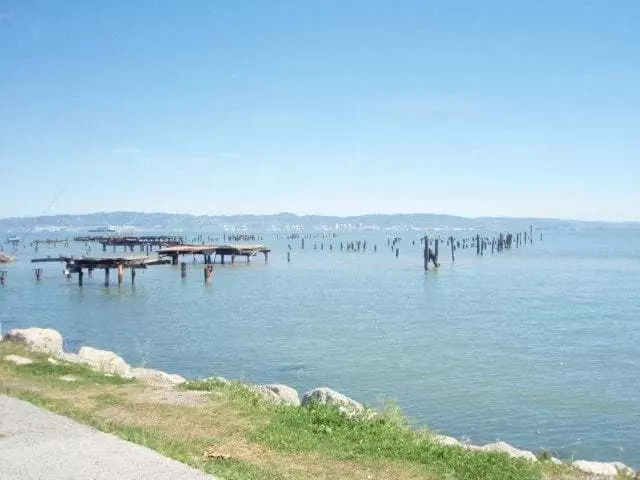 Agua Vista Park