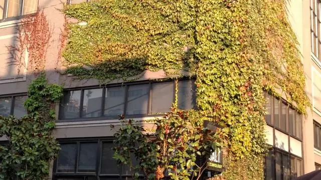 21st Amendment Brewery