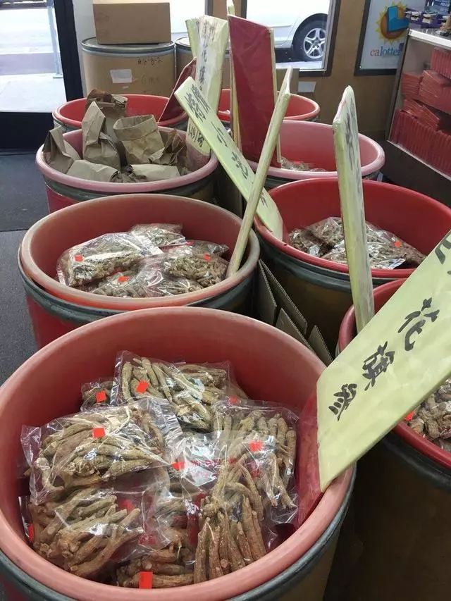 World Ginseng Center