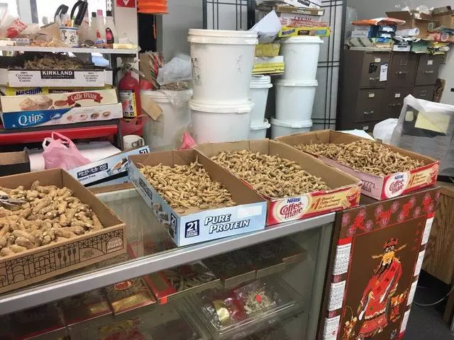 World Ginseng Center