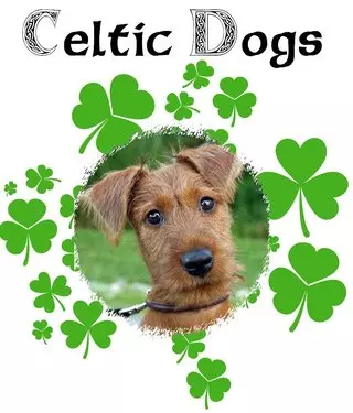 Celtic Dogs