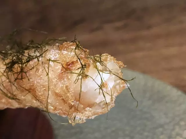Benu