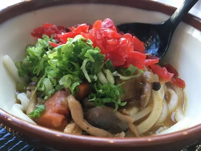 Kagawa-Ya Udon
