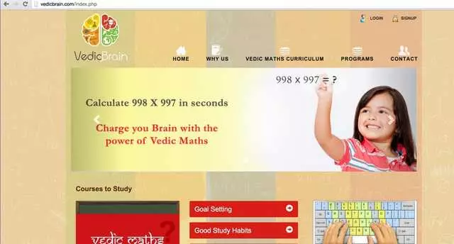 Vedic Brain