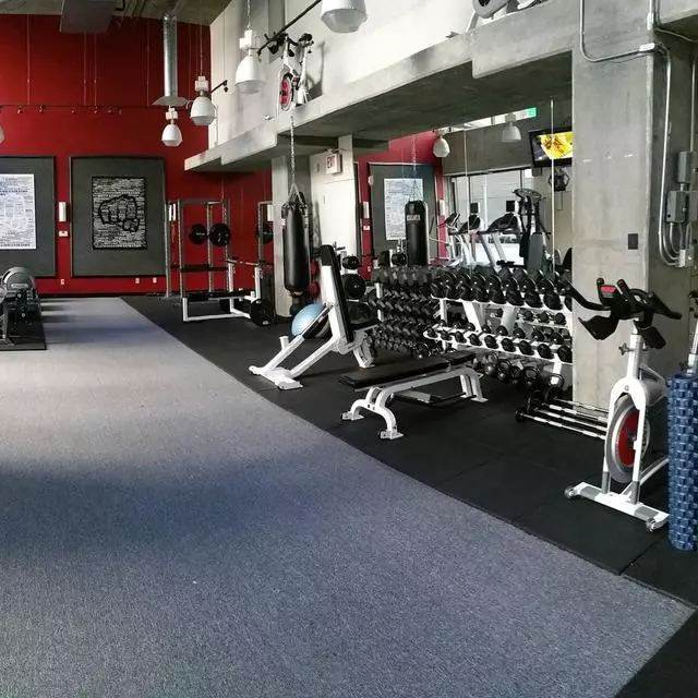 Prolific Performance Personal Training