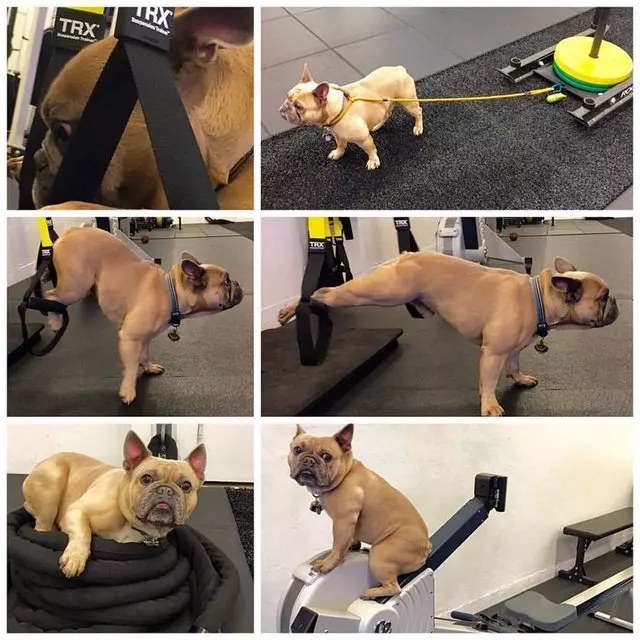 J Bodyworks