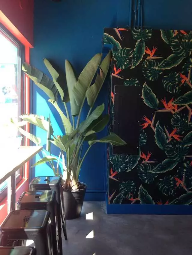 Mateo’s Taqueria