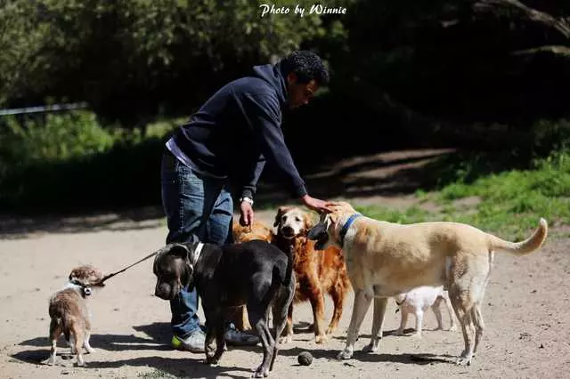 Alemany Blvd Dog Park