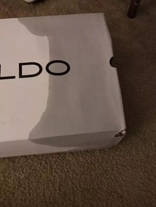 Aldo Shoes