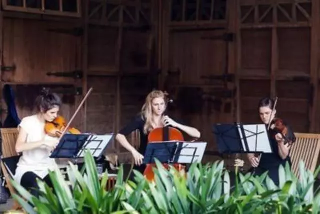 Aleron Strings