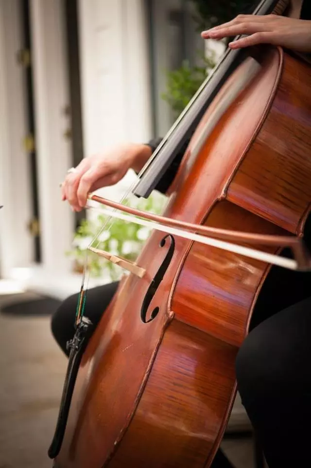 Aleron Strings